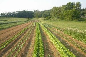 West Wing at Vollmecke Farm exterior crops